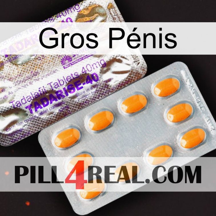 Gros Pénis new12